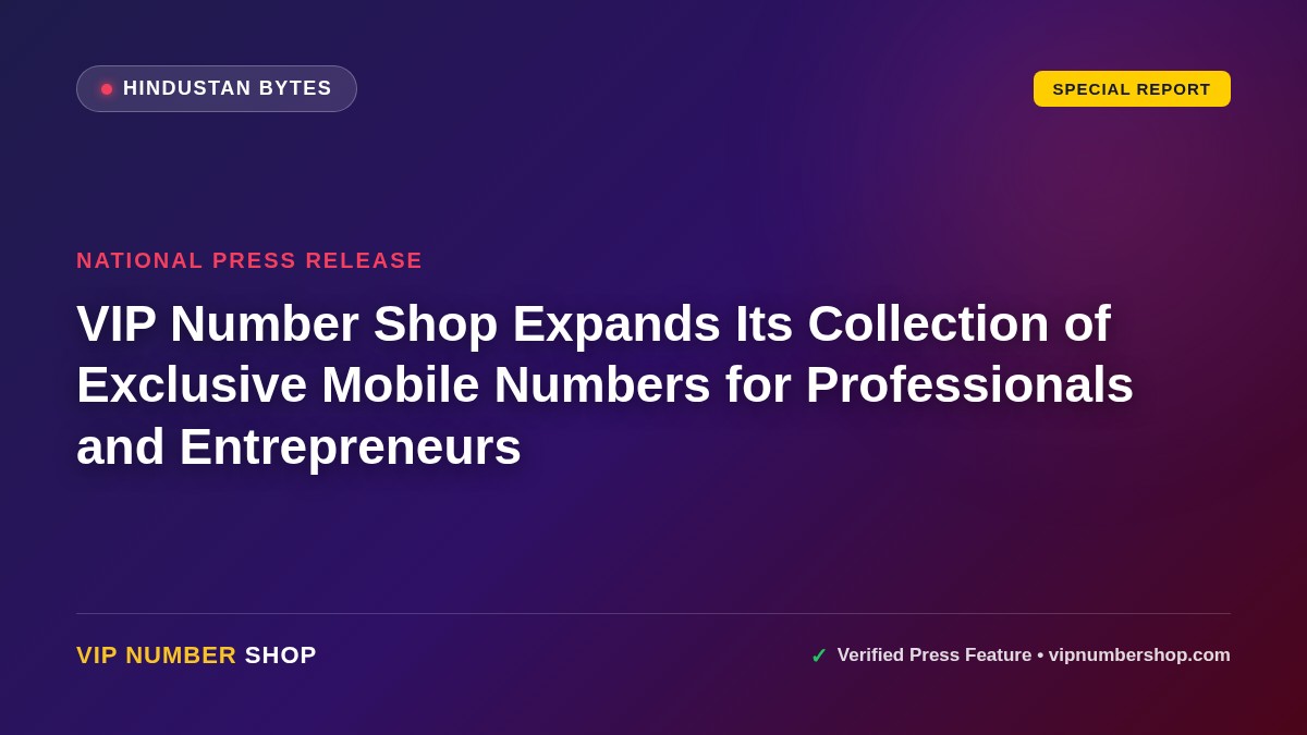 Hindustan Bytes featuring Deepak Dhingra's nationwide seller platform fancymobilenumber.in